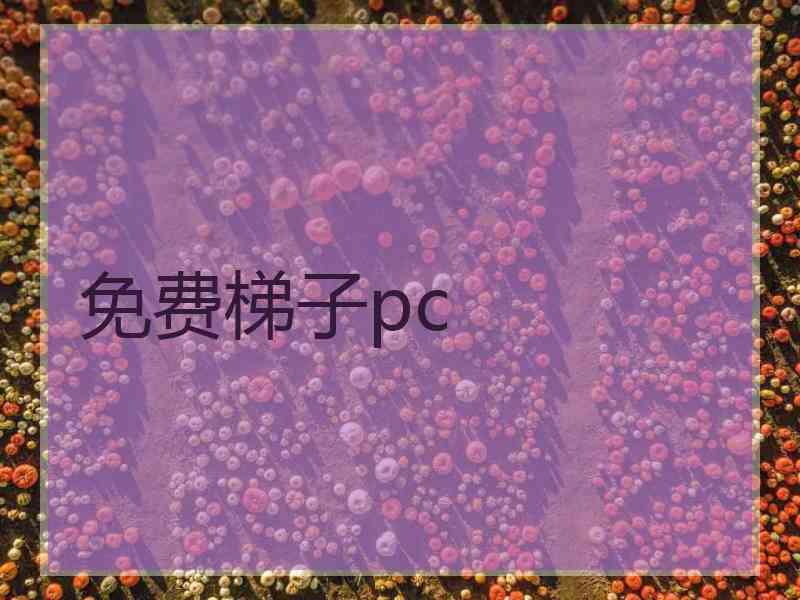 免费梯子pc