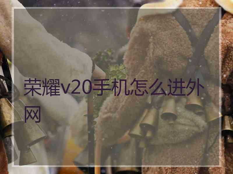 荣耀v20手机怎么进外网