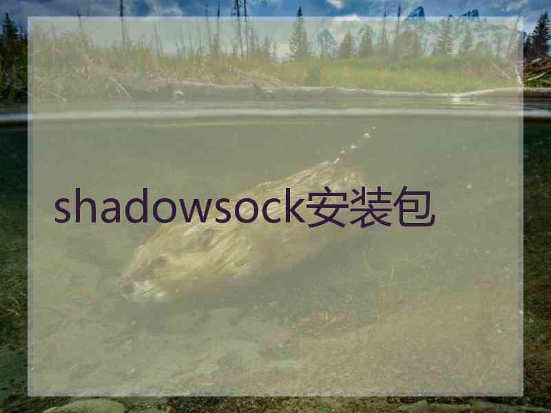 shadowsock安装包