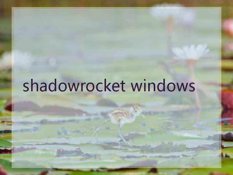 shadowrocket windows