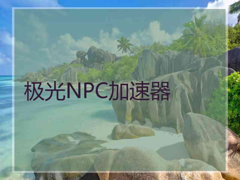 极光NPC加速器