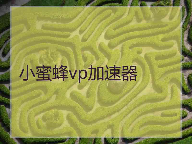 小蜜蜂vp加速器