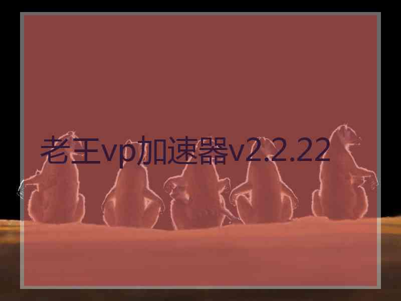 老王vp加速器v2.2.22