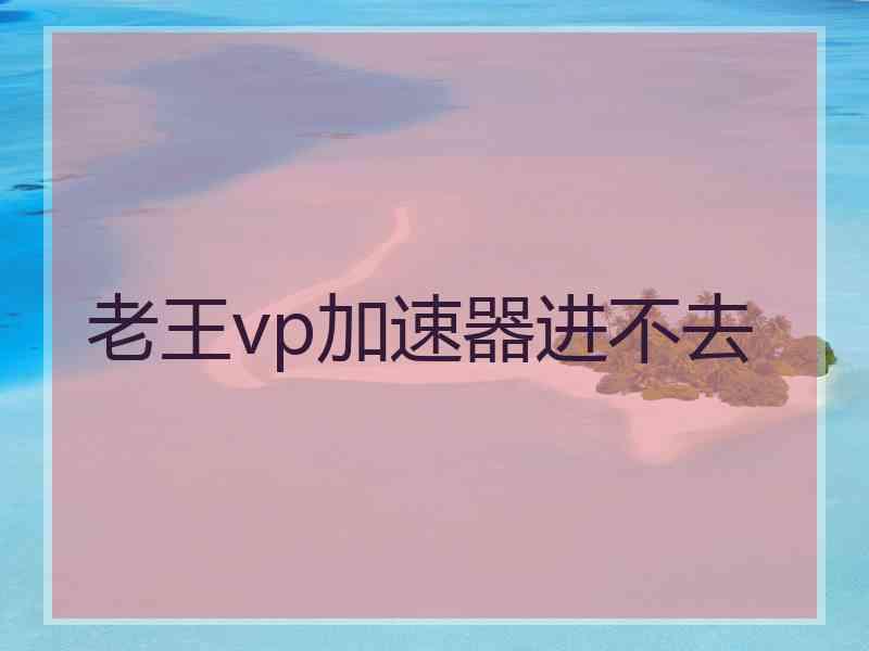 老王vp加速器进不去