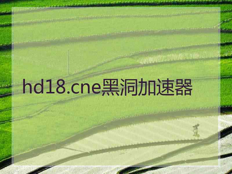 hd18.cne黑洞加速器