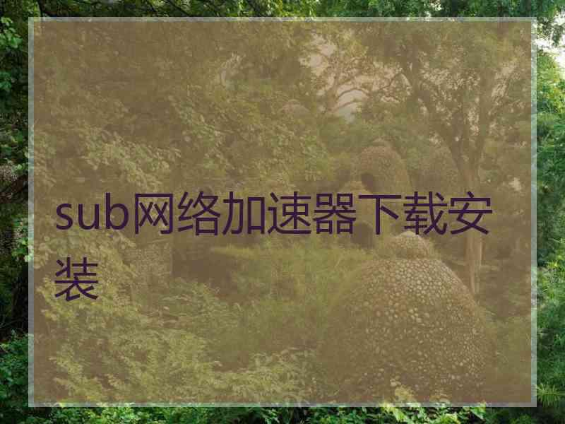 sub网络加速器下载安装