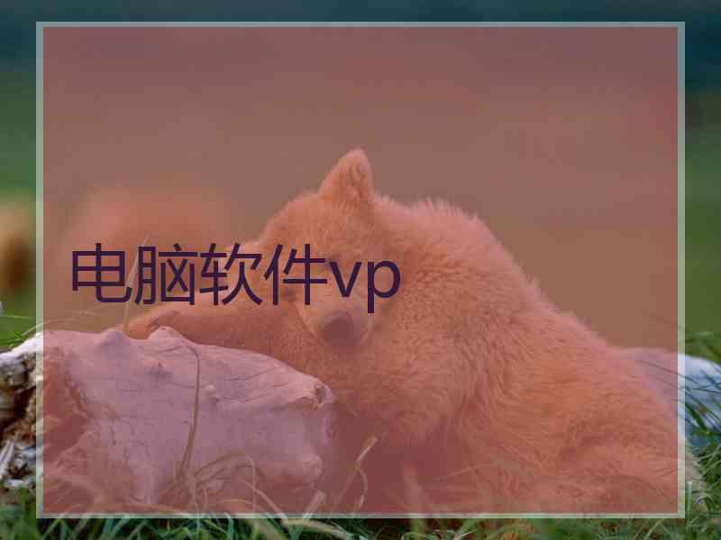 电脑软件vp