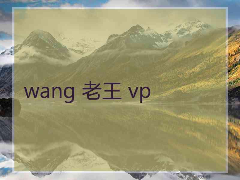 wang 老王 vp