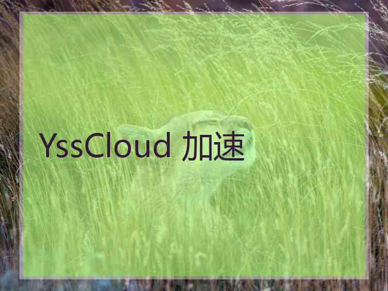 YssCloud 加速