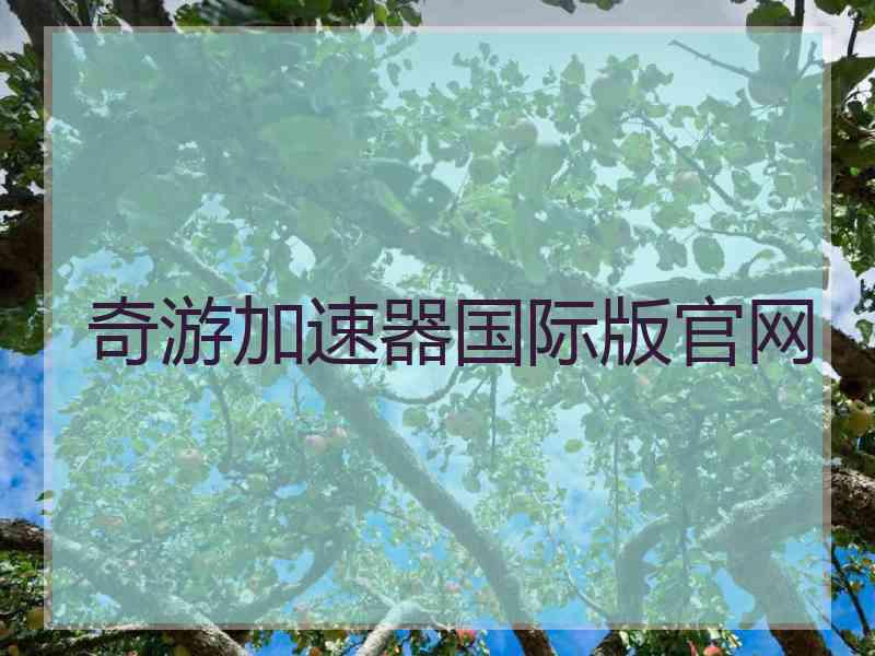 奇游加速器国际版官网