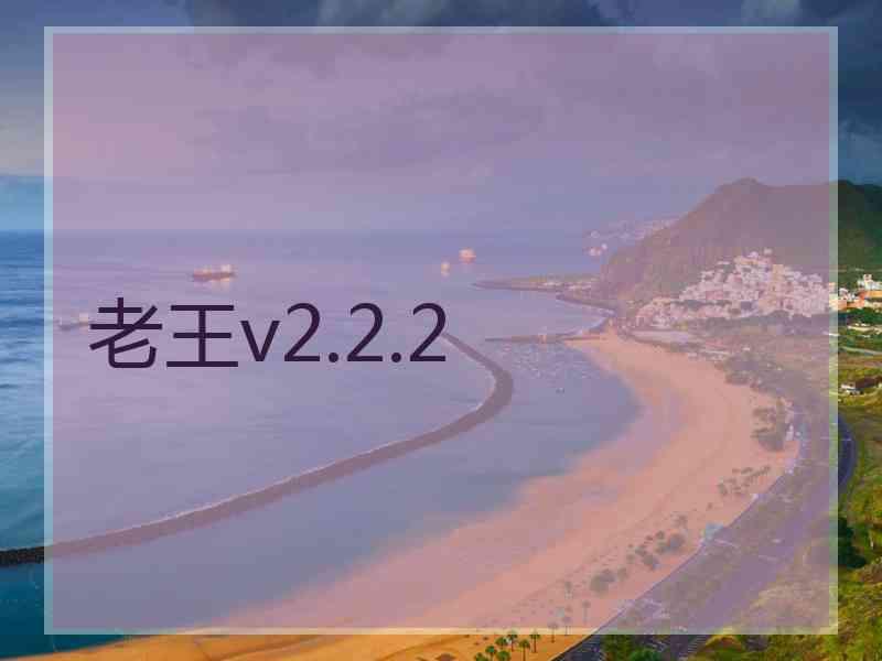 老王v2.2.2