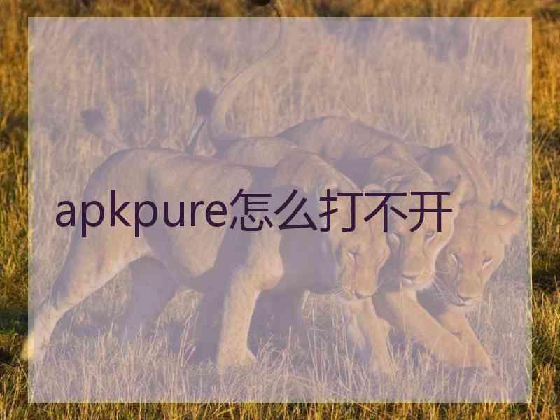 apkpure怎么打不开