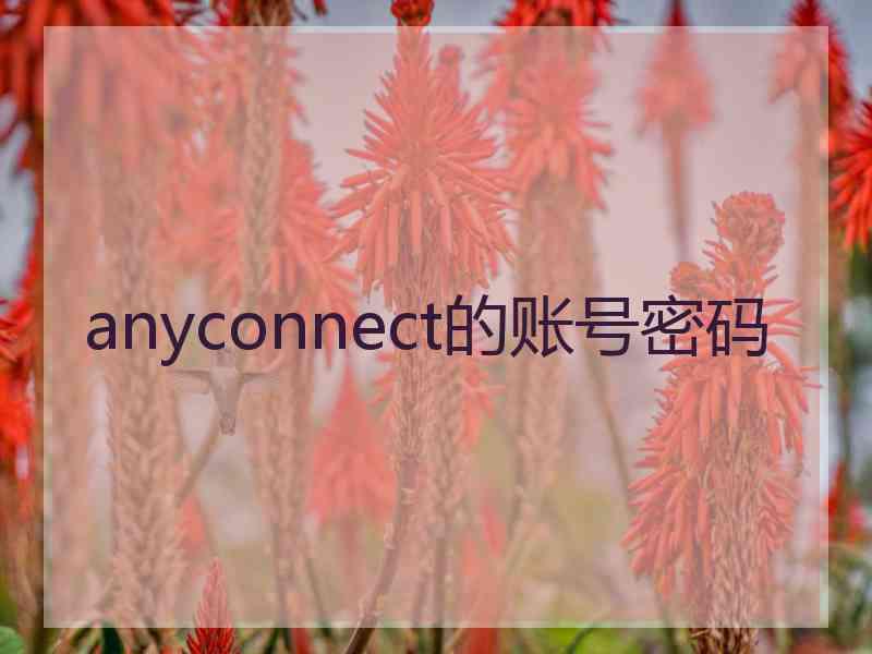 anyconnect的账号密码