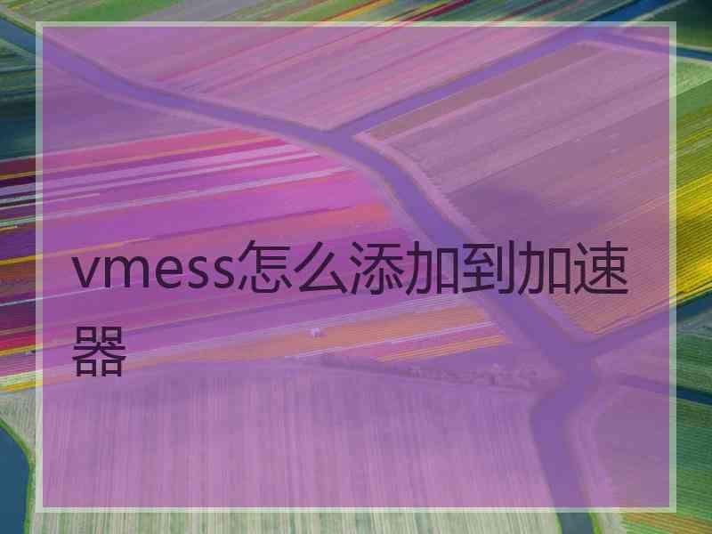 vmess怎么添加到加速器