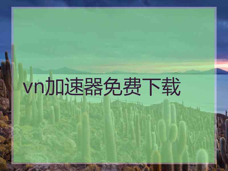 vn加速器免费下载