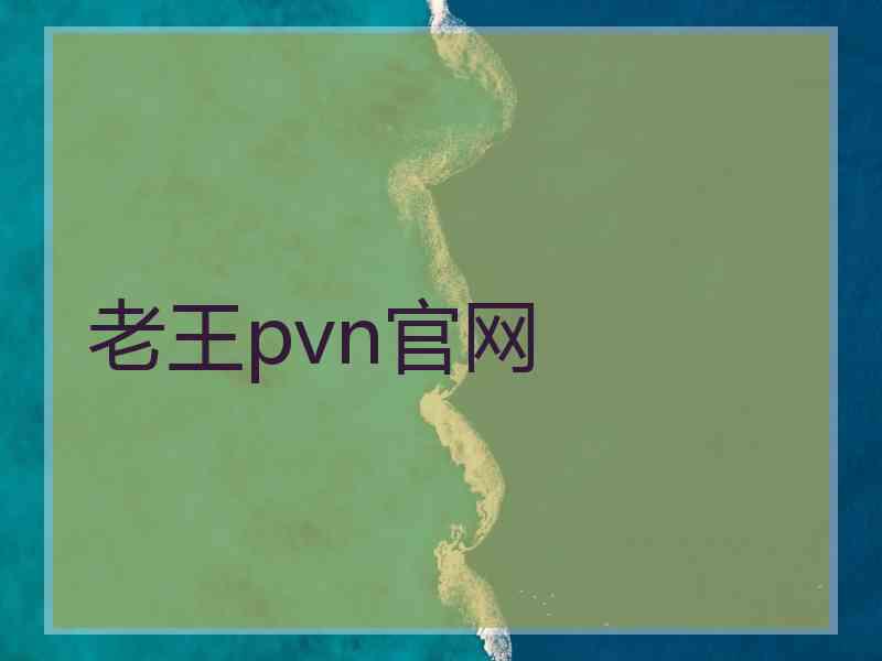 老王pvn官网