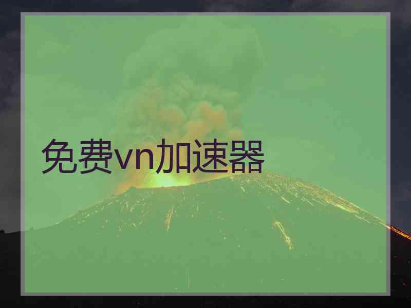 免费vn加速器