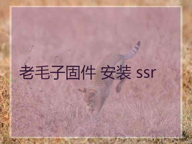 老毛子固件 安装 ssr