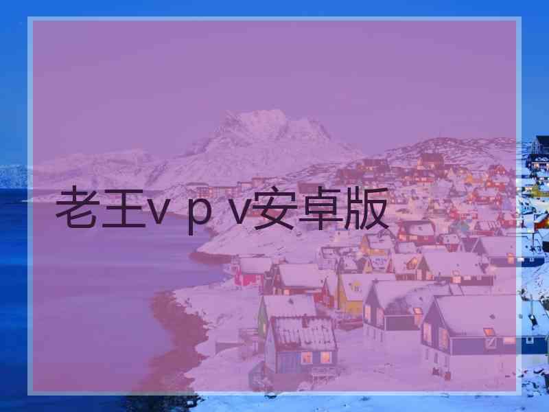 老王v p v安卓版