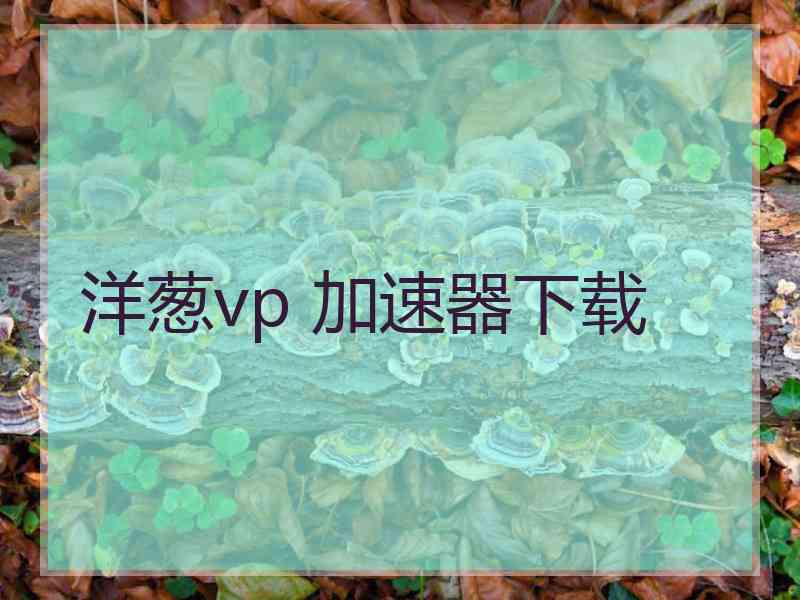 洋葱vp 加速器下载