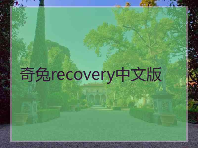 奇兔recovery中文版