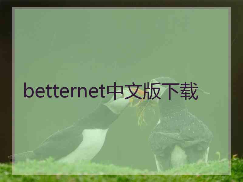 betternet中文版下载