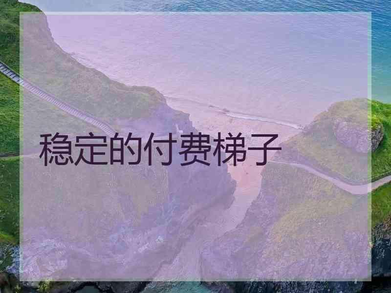 稳定的付费梯子