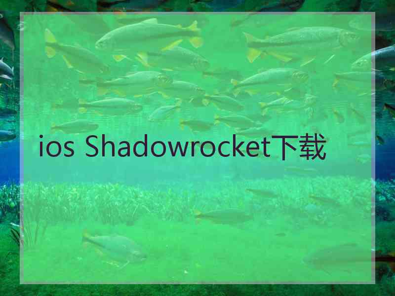 ios Shadowrocket下载