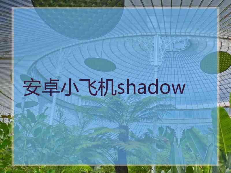 安卓小飞机shadow