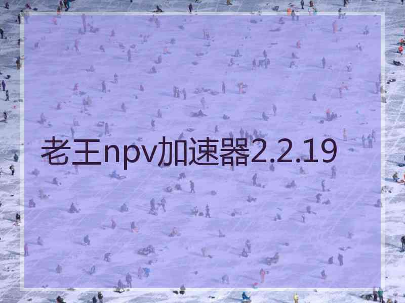 老王npv加速器2.2.19