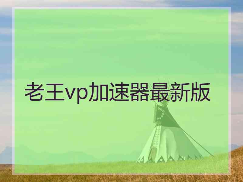 老王vp加速器最新版