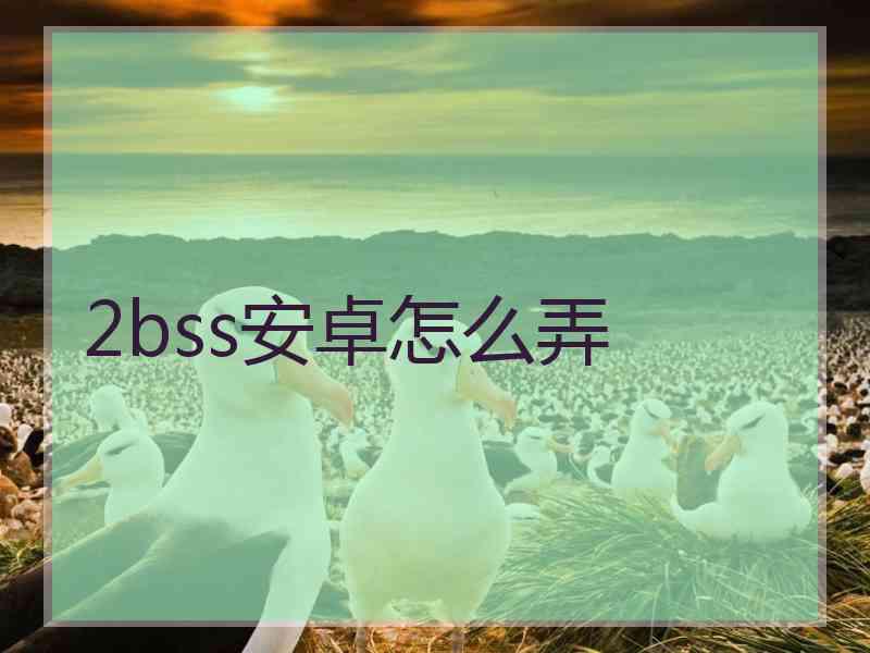 2bss安卓怎么弄