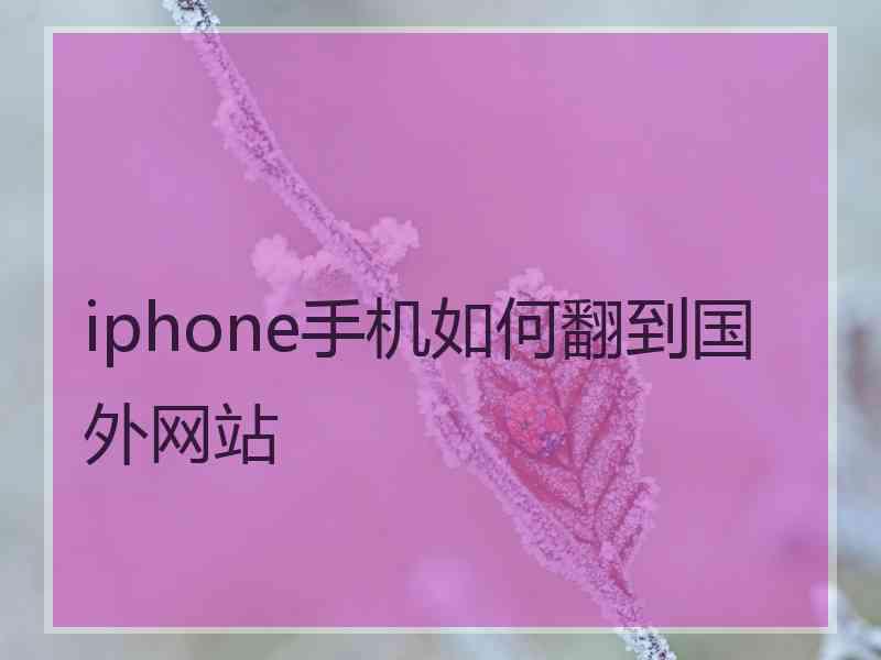 iphone手机如何翻到国外网站