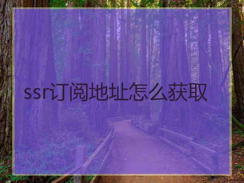 ssr订阅地址怎么获取