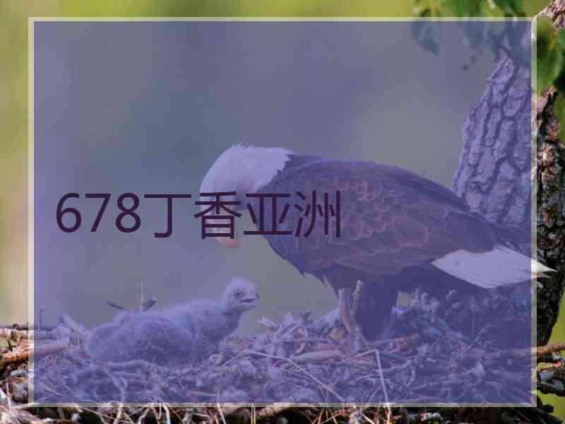 678丁香亚洲