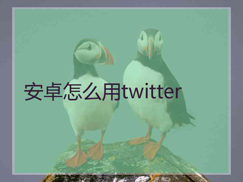 安卓怎么用twitter