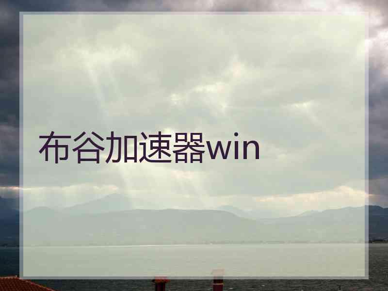 布谷加速器win