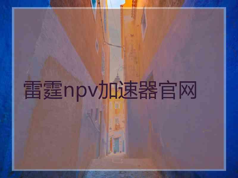 雷霆npv加速器官网