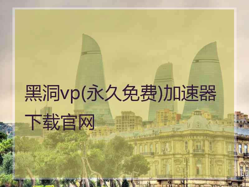 黑洞vp(永久免费)加速器下载官网