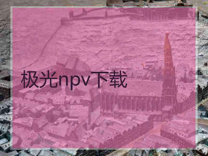 极光npv下载