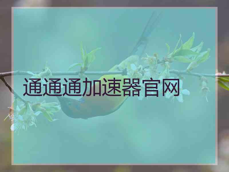 通通通加速器官网