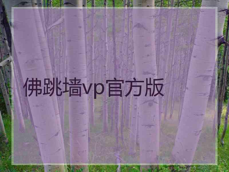 佛跳墙vp官方版