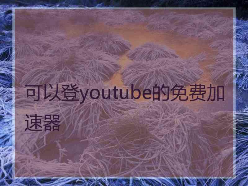 可以登youtube的免费加速器