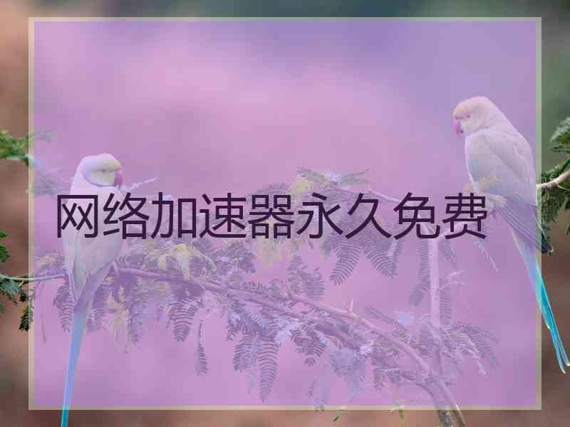 网络加速器永久免费