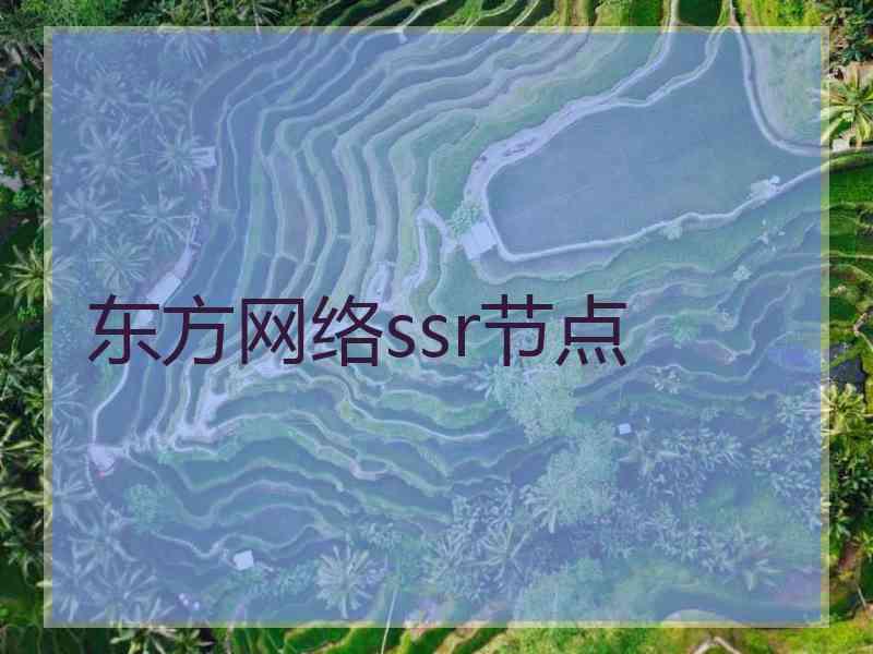 东方网络ssr节点