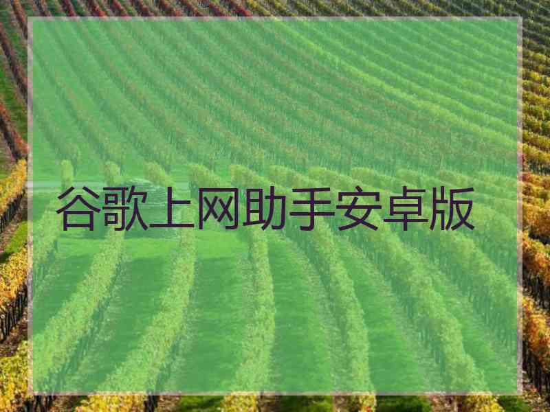 谷歌上网助手安卓版