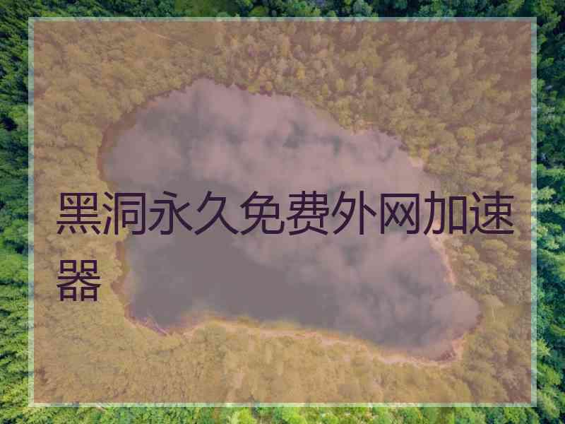 黑洞永久免费外网加速器