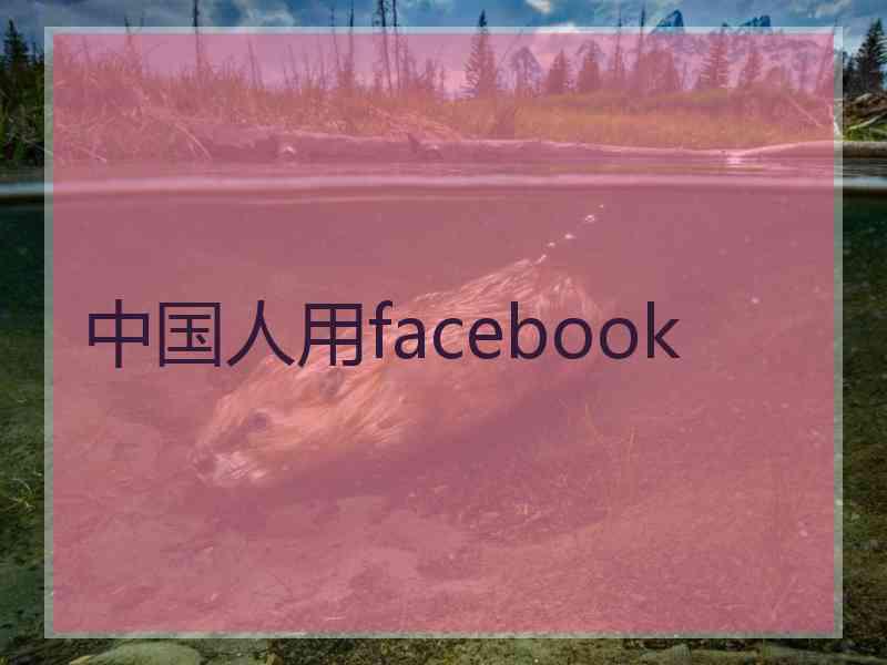 中国人用facebook