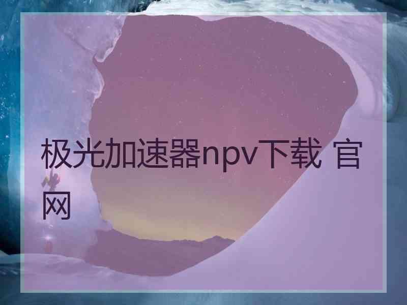 极光加速器npv下载 官网