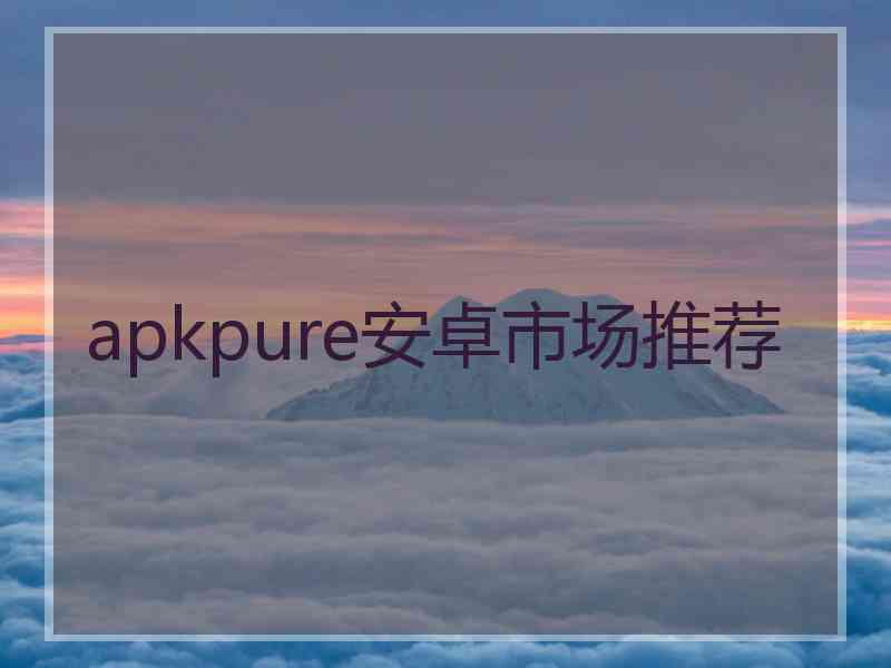 apkpure安卓市场推荐